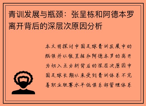 青训发展与瓶颈：张呈栋和阿德本罗离开背后的深层次原因分析