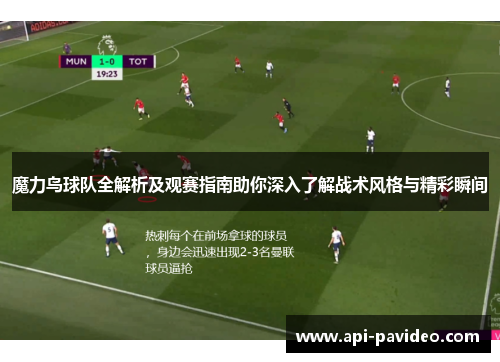 魔力鸟球队全解析及观赛指南助你深入了解战术风格与精彩瞬间