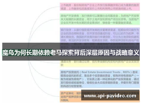 魔鸟为何长期依赖老马探索背后深层原因与战略意义